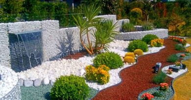 Pedras para Jardinagem - Como Utilizar Esses Elementos Naturais