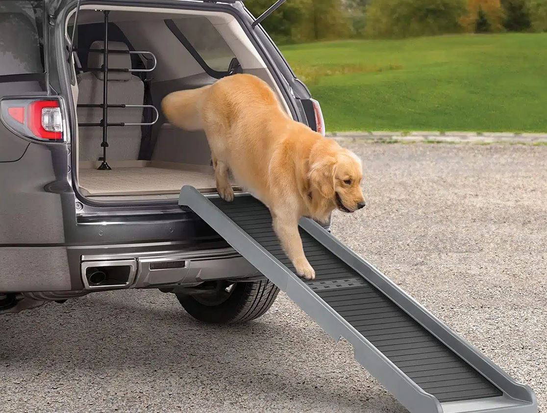 Rampa para Cachorro - A Solução Ideal para Mobilidade Canina