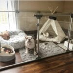 Decoração de interiores – Ambientes Confortáveis para Dogs